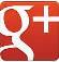 Google+